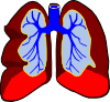Healthy Lungs Clip Art